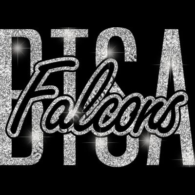 GLT95 SILVER GLITTER Thumbnail